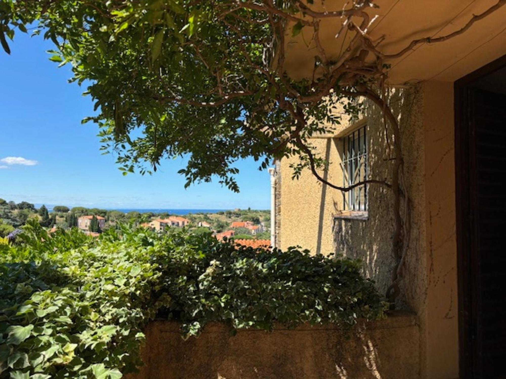 Charmante Maison Securisee Avec Piscine A Collioure - Fr-1-309-454 Villa Exterior foto